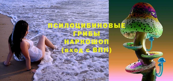 винт Абинск