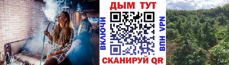 kraken рабочий сайт  закладки  Касли  МАРИХУАНА сатива 
